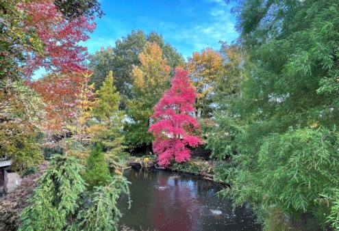 Arboretum Westeresch, Vlagtwedde (GR)